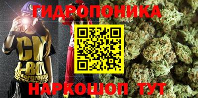 тгк Канаш
